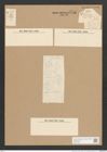 Diatomeae indet. (de-Toni-Nr.: Species 1814 var. ?) Zeichnungen Sammlung Grunow Nr. 3717 (NHMW-BOT-W0371352)